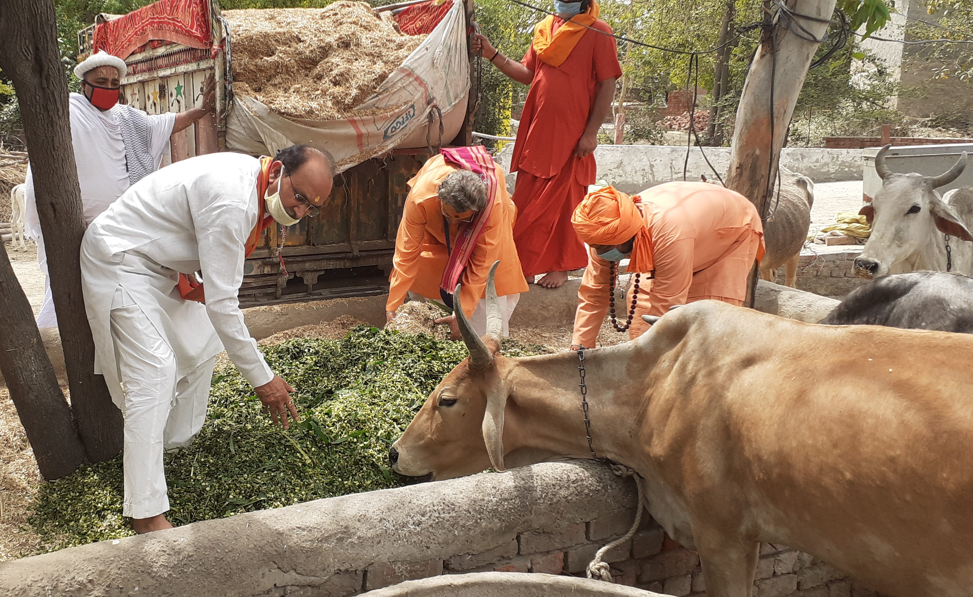 गौ-माता सेवा